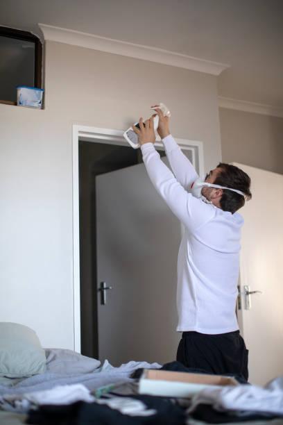 Best Environmental Consulting for Mold Prevention  in Rshfield Hills, MA